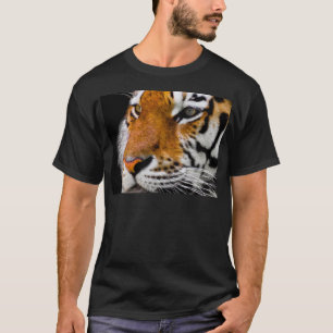 T-shirt Tigre