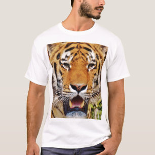 T-shirt Tigre