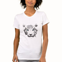 Tigre blanc aux yeux bleus