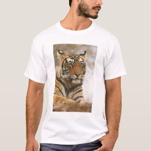 T-shirt Tigre du Bengale royal sur le rocher, Ranthambhor