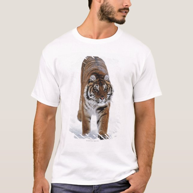 T-shirt Tigre sibérien dans la neige (Devant)