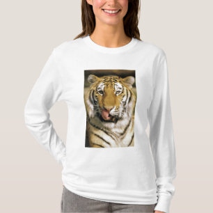 T-shirt Tigre Zoo du Michigan