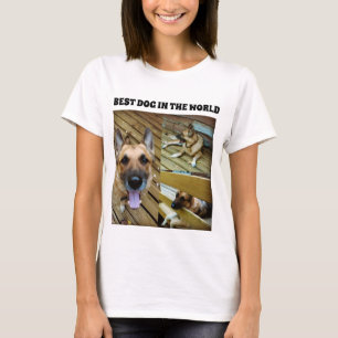 T-SHIRT TITRE DE CHIEN ALLEMAND