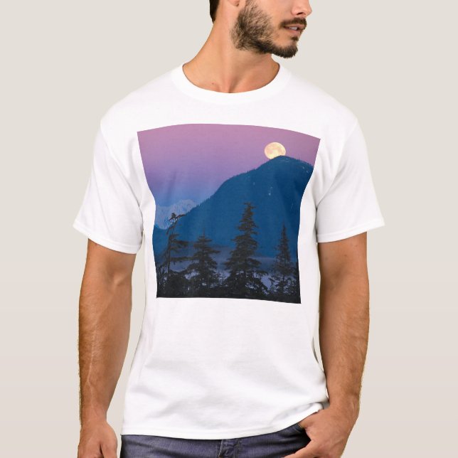 T-shirt Tombe nocturne en Alaska (Devant)