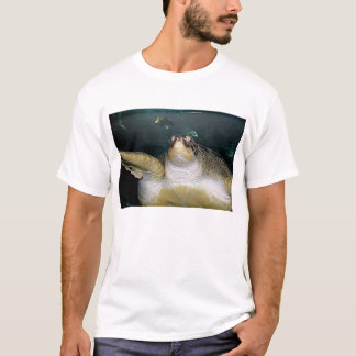 T-shirt Tortue 2