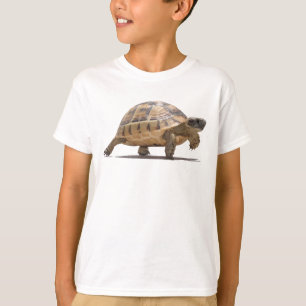 T-shirt Tortue Bébé Dessin Animé Vectoriel Isolée