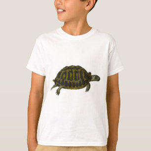 T-shirt Tortue de boîte