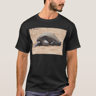 T-shirt Tortue de mer