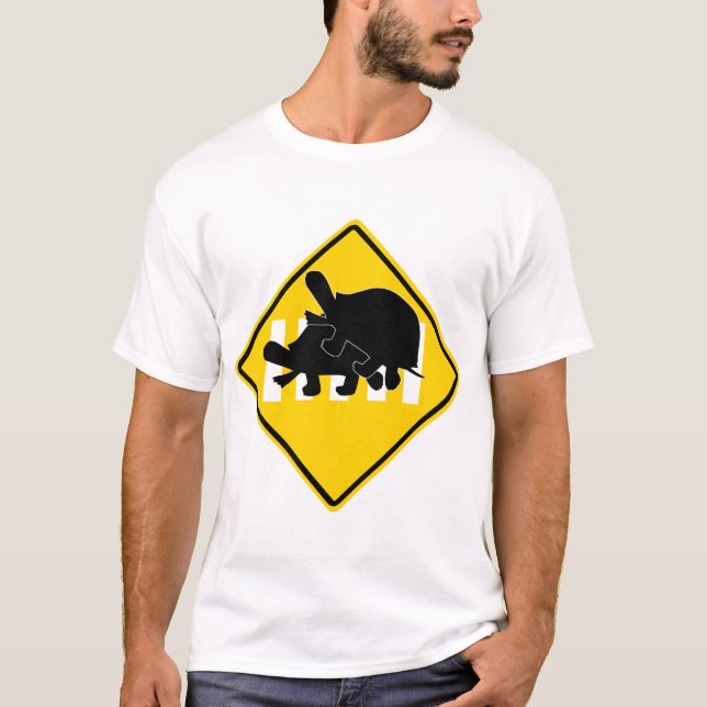 T-SHIRT TORTUES TRAVERSANT LA ROUTE (Devant)