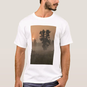T-shirt Tôt le matin, soleil levant et brouillard au sol