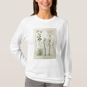 T-shirt Trèfle violet et Onobrychis et Hyssopus de l'Aube