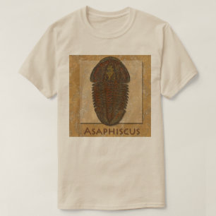 T-shirt Trilobite fossile Asaphiscus