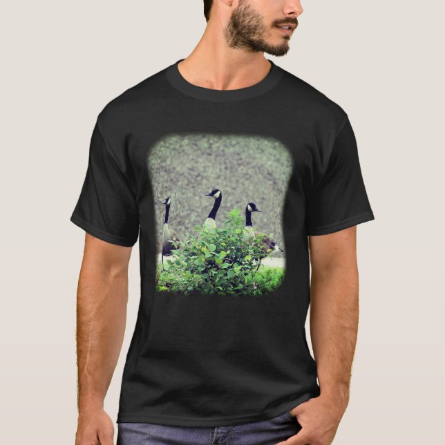 T-shirt Trois espèces d'oies du Canada (Devant)