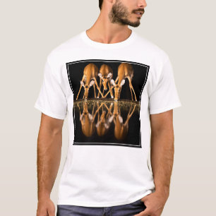 T-shirt Trois impalas boivent ensemble la nuit