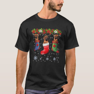 T-shirt Trois Rhodesian Ridgeback Chien Dans Sock Christma
