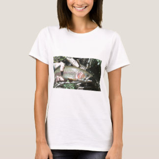 T-shirt Truite arc-en-ciel