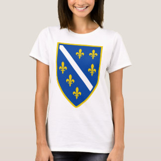 T-shirt ts.png