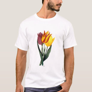 T-shirt Tulipe (Tulipa Gesneriana)