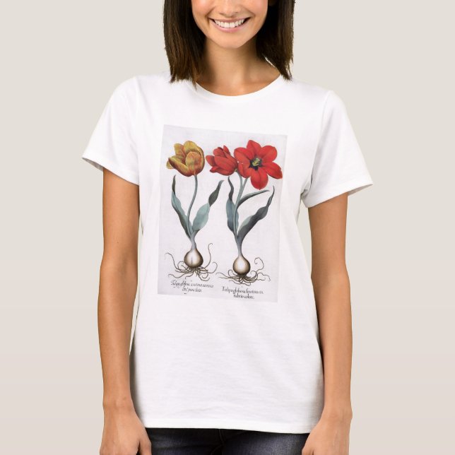 T-shirt Tulipes : 1.Tulipa globosa serotina cinnabrio colo (Devant)