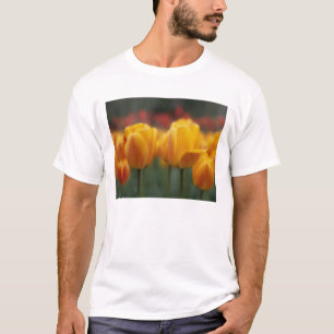 T-shirt Tulipes 2