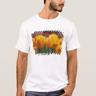 T-shirt Tulipes 2
