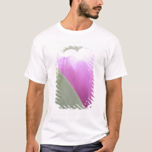 T-shirt Tulipes, Jardins de Keukenhoff, Pays-Bas. 2