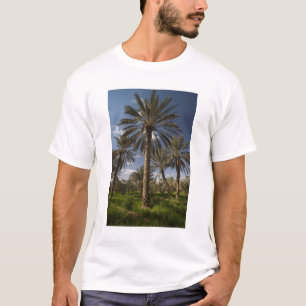 T-shirt Tunisie, région des Ksour, Ksar Ghilane, palmier d