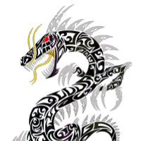 Twin Tribal Dragon Skate Board