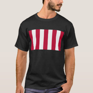 T-shirt U.S. Fils de drapeau vertical de bande de la