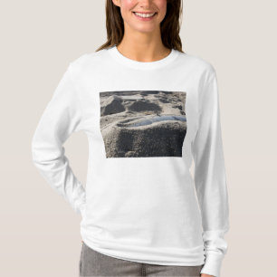 T-shirt Un affichage statique d'une coquille d'artillerie