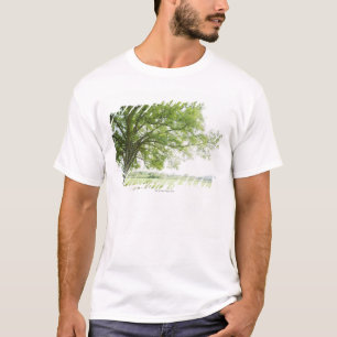 T-shirt Un arbre dans le domaine de l'herbe