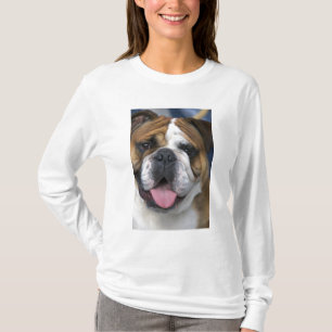 T-shirt Un bouledogue anglais en Belgique.