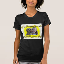 Un Cavoodle éclairera votre jour