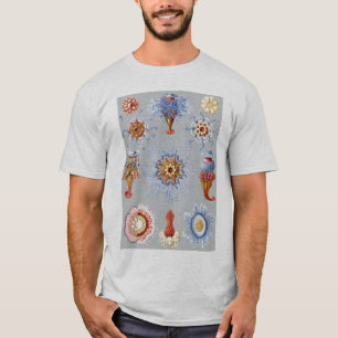 T-shirt Un hydrozoaire - Siphonophores
