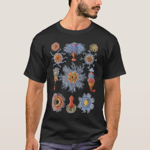T-shirt Un hydrozoaire - Siphonophores