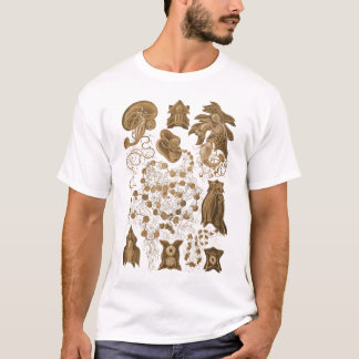 T-shirt Un hydrozoaire - Siphonophores