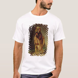 T-shirt Un Indien nord-américain dans un paysage étendu,