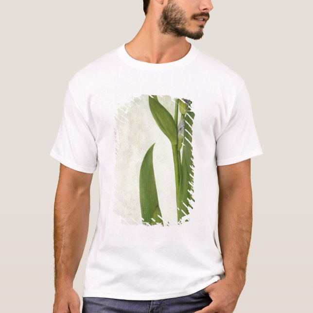 T-shirt Un iris (Devant)