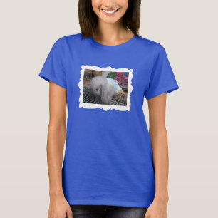 T-shirt Un mignon lapin dans une robe encadrée