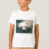 Un ours polaire qui fait froid