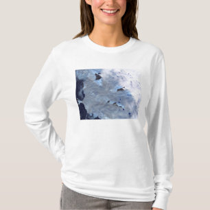 T-shirt Un petit champ des glaciers entoure la baie de