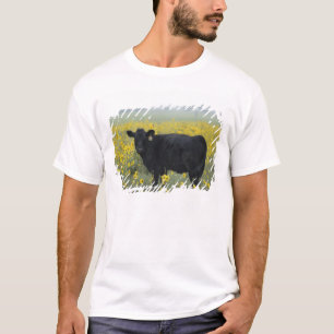 T-shirt Un veau au milieu des tournesols du Nebraska