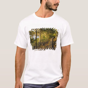 T-shirt Une promenade en bois dans le parc national Acadia