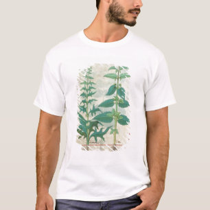 T-shirt Urticaceae