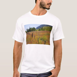 T-shirt USA, Colorado, San Juan National Forest, le long