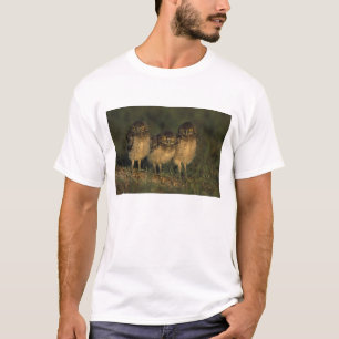 T-shirt USA, Floride, Cap Coral. Trois Chouettes