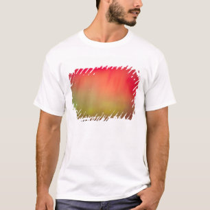 T-shirt USA, Idaho. Aurora borealis, aurore boréale à 2
