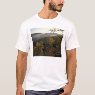 T-shirt USA, Kentucky. Forêt nationale Daniel Boone.