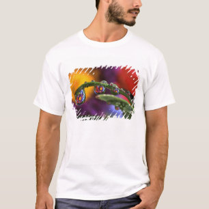 T-shirt USA, Oregon, abstrait de violet