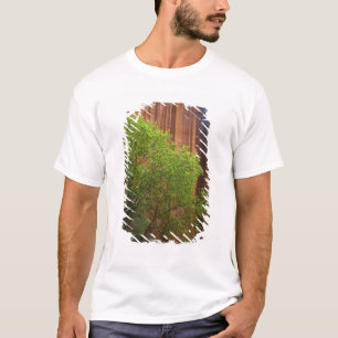 T-shirt USA, Utah, Paria Canyon - Vermillions Cliffs